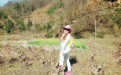 第七届世界草莓大会